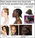 black.jpg