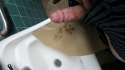 20160114_093517.jpg