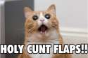 holy cunt flaps.jpg