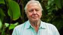 david_attenborough.jpg