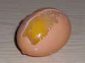 frozen-egg-1.jpg
