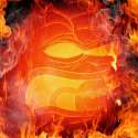 pepe.jpg