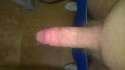 WP_20160515_003.jpg