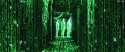 IMG_1238.gif
