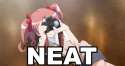neat.jpg