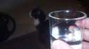 IMG_20140926_141859_169.jpg