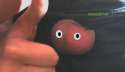 reaction image.png