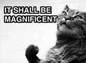cat_magnificent.jpg