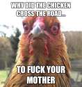 ChickenCrossTheRoad.jpg