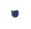 blue berry cat.jpg