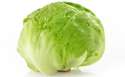 lettuce.jpg