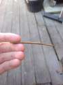 blunt.jpg