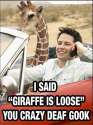 Giraffe_3ec974_147800.jpg