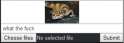 what.png