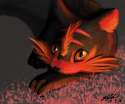 1463638042.ky-kai_gato.png