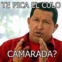 te pica el culo.jpg