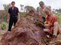12-jurassic-park-poop.w750.h560.2x.jpg