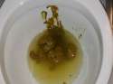 20120122_135956.jpg