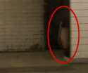 Ghostly girl.jpg