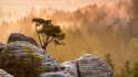 nature_night_fog_light_wood_rocks_stones_wood.jpg