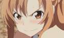 silica bummed.jpg