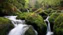 wood_stones_moss_river_nature.jpg