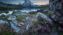 Stones_Water_Mountains_Nature_Flowers_lake.jpg