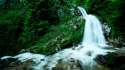 Waterfall_water_stones_herbs.jpg