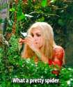 tumblr_macylwjlWI1r9vi6po8_r1_250.gif