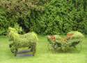 hedge_art_collection239.jpg