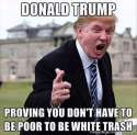 trump_trash.jpg