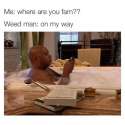 5900211_the-funniest-marijuana-memes-for-this-week_t13879e5e.jpg