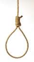 noose.jpg