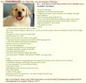 The_puppy.png