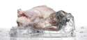 a_defrosting_640.jpg