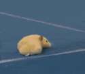 1375090733643.gif