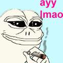 e5f.jpg