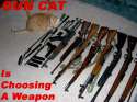 funny-cat-choosing-guns.jpg