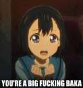 fucking baka.jpg