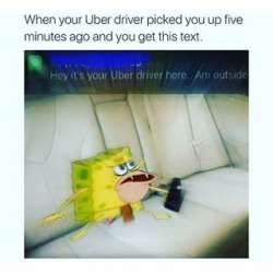 spongcar.jpg