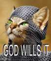 god wills it.jpg
