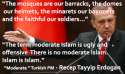 erdogan-bayonets-and-moderate-islam.png
