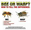 Learn the difference fucker!!.jpg