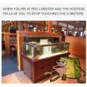 RED LOBSTER.jpg