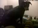 IMG00337-20130205-1916.jpg
