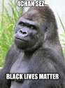 blm.png