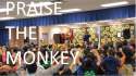 munkey1.jpg