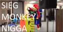 munkey4.jpg