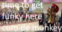 munkey9.jpg