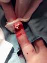 IMG_20130831_143632.jpg